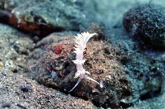    Mareste fotografia 

WeDive - Grecia 2016