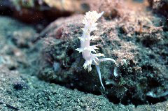    Mareste fotografia 

WeDive - Grecia 2016