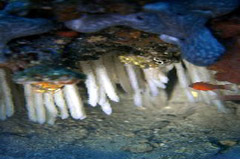    Mareste fotografia 

WeDive - Grecia 2016