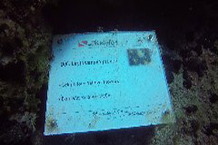    Mareste fotografia 

WeDive - Grecia 2016