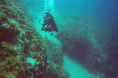    Mareste fotografia 

WeDive - Grecia 2016