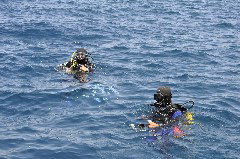    Mareste fotografia 

WeDive - Grecia 2016