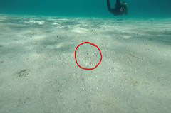    Mareste fotografia 

WeDive - Grecia 2016