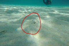    Mareste fotografia 

WeDive - Grecia 2016