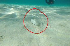    Mareste fotografia 

WeDive - Grecia 2016