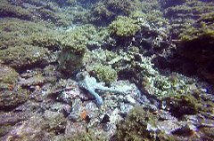    Mareste fotografia 

WeDive - Grecia 2016