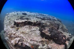    Mareste fotografia 

WeDive - Grecia 2016