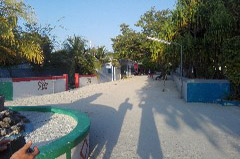    Mareste fotografia 

WeDive - Maldive 2017