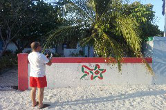    Mareste fotografia 

WeDive - Maldive 2017