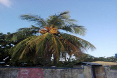    Mareste fotografia 

WeDive - Maldive 2017