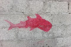    Mareste fotografia 

WeDive - Maldive 2017