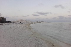    Mareste fotografia 

WeDive - Maldive 2017