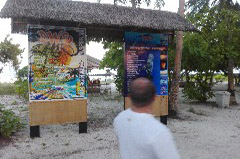    Mareste fotografia 

WeDive - Maldive 2017