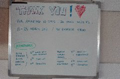    Mareste fotografia 

WeDive - Maldive 2017