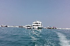    Mareste fotografia 

WeDive - Maldive 2017