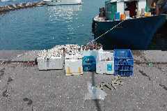    Mareste fotografia 

WeDive - Maldive 2017