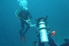    Mareste fotografia 

WeDive - Maldive 2017