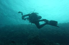    Mareste fotografia 

WeDive - Maldive 2017