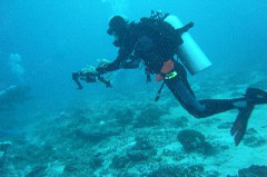    Mareste fotografia 

WeDive - Maldive 2017