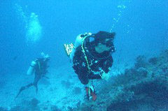    Mareste fotografia 

WeDive - Maldive 2017