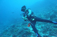    Mareste fotografia 

WeDive - Maldive 2017