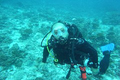    Mareste fotografia 

WeDive - Maldive 2017