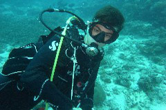    Mareste fotografia 

WeDive - Maldive 2017