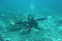    Mareste fotografia 

WeDive - Maldive 2017