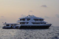    Mareste fotografia 

WeDive - Maldive 2017