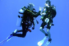    Mareste fotografia 

WeDive - Maldive 2017