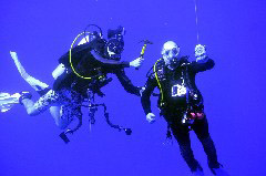    Mareste fotografia 

WeDive - Maldive 2017