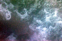    Mareste fotografia 

WeDive - Maldive 2017