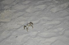    Mareste fotografia 

WeDive - Maldive 2017