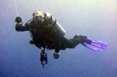    Mareste fotografia 

WeDive - Maldive 2017