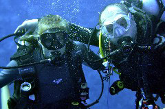    Mareste fotografia 

WeDive - Maldive 2017