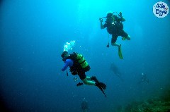    Mareste fotografia 

WeDive - Maldive 2019