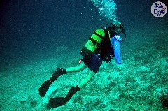    Mareste fotografia 

WeDive - Maldive 2019