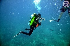    Mareste fotografia 

WeDive - Maldive 2019