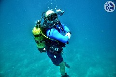    Mareste fotografia 

WeDive - Maldive 2019