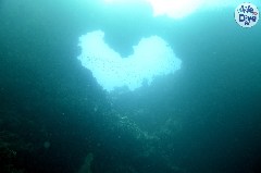    Mareste fotografia 

WeDive - Maldive 2019