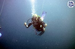    Mareste fotografia 

WeDive - Maldive 2019