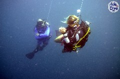    Mareste fotografia 

WeDive - Maldive 2019