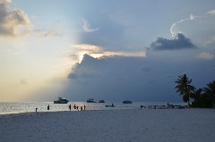    Mareste fotografia 

WeDive - Maldive 2019