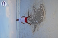    Mareste fotografia 

WeDive - Maldive 2019