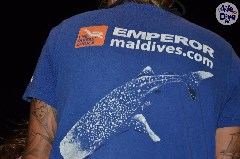    Mareste fotografia 

WeDive - Maldive 2019