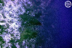    Mareste fotografia 

WeDive - Maldive 2019