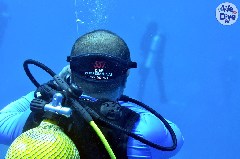    Mareste fotografia 

WeDive - Maldive 2019