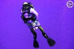    Mareste fotografia 

WeDive - Maldive 2019