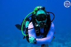    Mareste fotografia 

WeDive - Maldive 2019