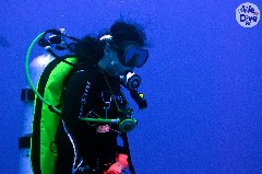    Mareste fotografia 

WeDive - Maldive 2019